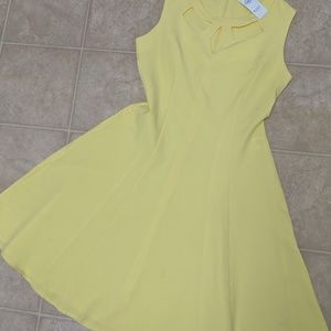 NWT Yellow Fit and Flare Dress